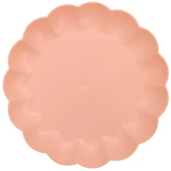 Assiette plastique iris d25.5cm
