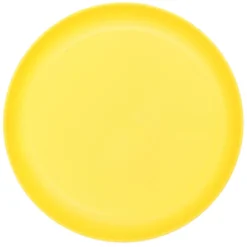 Assiette plastique strie 25cm