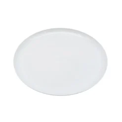 Assiette plate d22cm x6