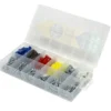 Assortiment de 150 vis/chevilles