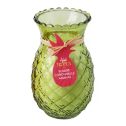 Bougie citronnelle ananas 2ass