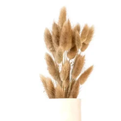 Bouquet lagurus