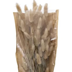 Bouquet lagurus