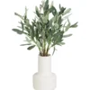 Bouquet olivier dans vase