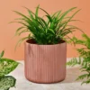 Cache pot cotele terracota