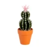 Cactus pot terracotta