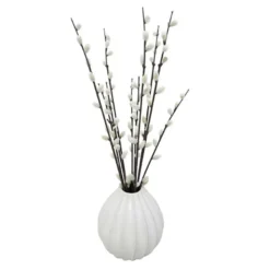 Chatons dans vase