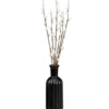 Chatons dans vase noir