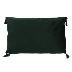 Coussin illana 40x60cm velours v