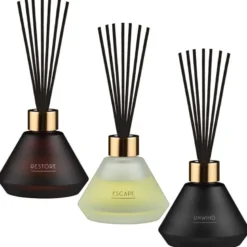 Diffuseur 100ml restore