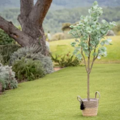Eucalyptus artificiel 150cm