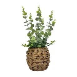 Eucalyptus pot tresse h40cm
