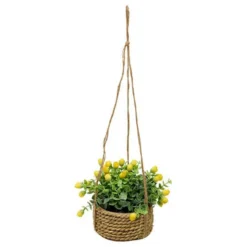 Fleurs suspendre