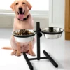 Gamelle inox ajustable x2
