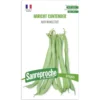 Graines haricot vert