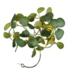 Guirlande solaire eucalyptus