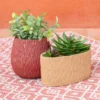 Jardiniere galaxy sable23x12x11c