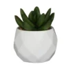 Mini succulente artificielle