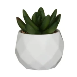 Mini succulente artificielle
