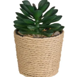 Mini succulente pot tresse