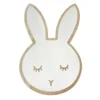 Miroir lapin