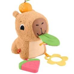 Mon capybara calins