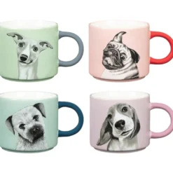 Mug-chien et message