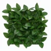 Panneau vegetal 35 x 35cm