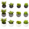 Plante artificielle aimant