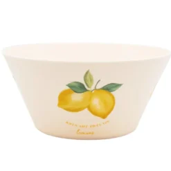Saladier plastique d26cm citron