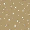Serviette x50 33x33 2plis villag
