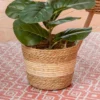 Set de 3 pots de fleurs