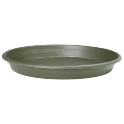 Soucoupe o32cm eucalyptus