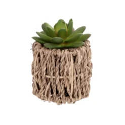 Succulente artificielle pot tres