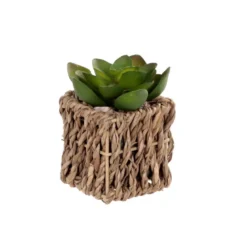 Succulente artificielle pot tres