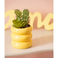Succulente pot cotele