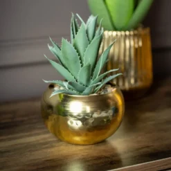 Succulente pot or