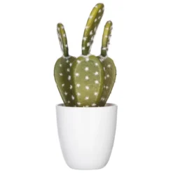 Succulent ou cactus en pot