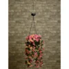 Suspension solaire panier fleuri