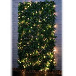 Treillis lierre extensible led